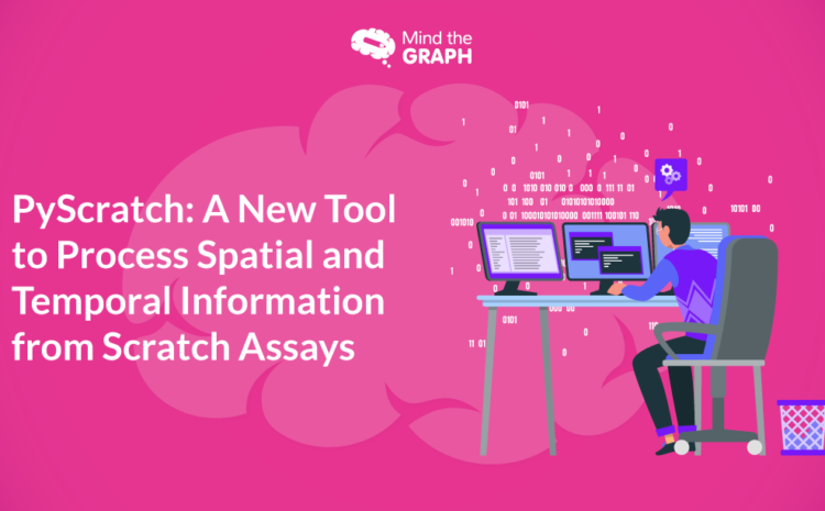 PyScratch-A-New-Tool-to-Process-Spatial-and-Temporal-Information-from-Scratch-Assays