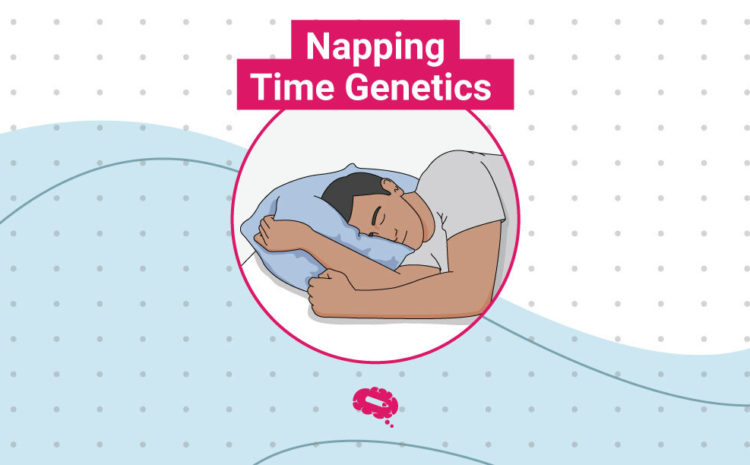 Napping Time Genetics