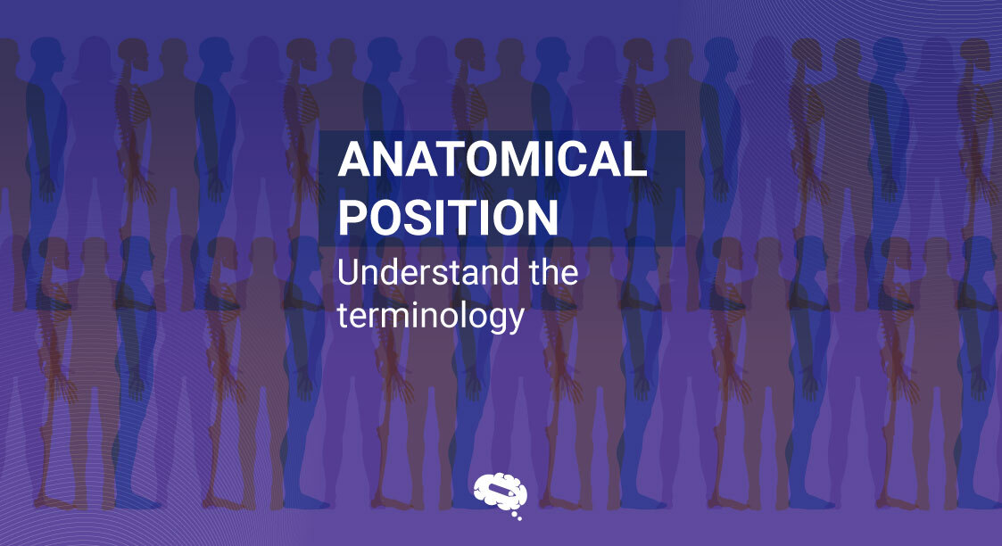 Anatomical Position